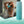 Load image into Gallery viewer, Hong Kong Trail Bundle