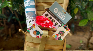 Gift Guide