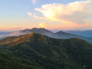 Our Top Hikes