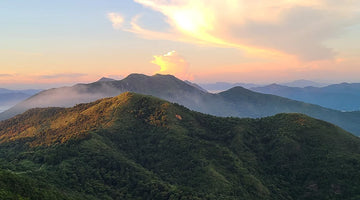 Our Top Hikes
